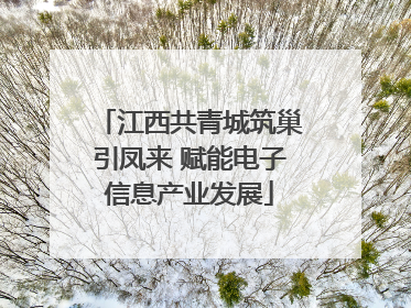江西共青城筑巢引凤来 赋能电子信息产业发展