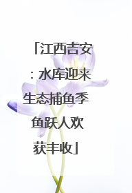 江西吉安：水库迎来生态捕鱼季 鱼跃人欢获丰收