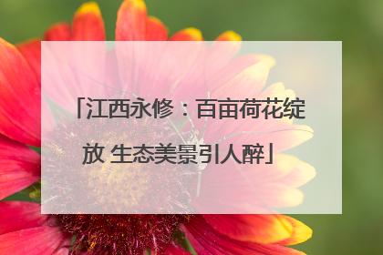 江西永修：百亩荷花绽放 生态美景引人醉