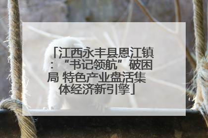 江西永丰县恩江镇：“书记领航”破困局 特色产业盘活集体经济新引擎