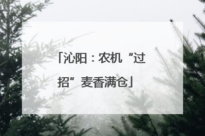 沁阳：农机“过招”麦香满仓
