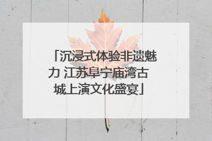 沉浸式体验非遗魅力 江苏阜宁庙湾古城上演文化盛宴