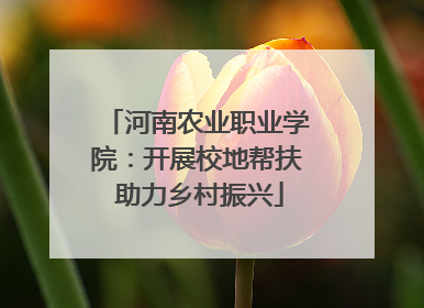 河南农业职业学院：开展校地帮扶 助力乡村振兴