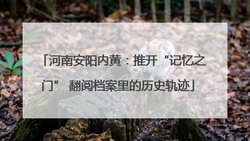 河南安阳内黄：推开“记忆之门” 翻阅档案里的历史轨迹