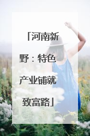 河南新野：特色产业铺就致富路