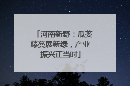 河南新野：瓜蒌藤蔓展新绿，产业振兴正当时