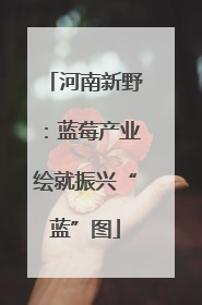 河南新野：蓝莓产业绘就振兴“蓝”图