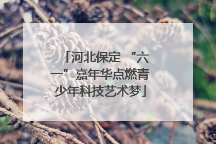 河北保定 “六一”嘉年华点燃青少年科技艺术梦