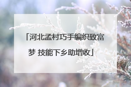 河北孟村巧手编织致富梦 技能下乡助增收