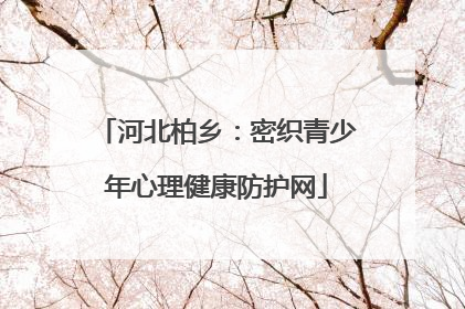 河北柏乡：密织青少年心理健康防护网