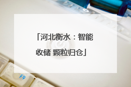 河北衡水：智能收储 颗粒归仓