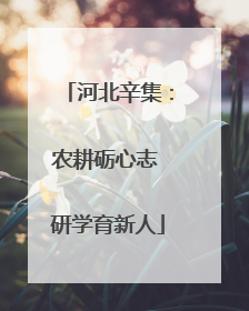 河北辛集：农耕砺心志 研学育新人