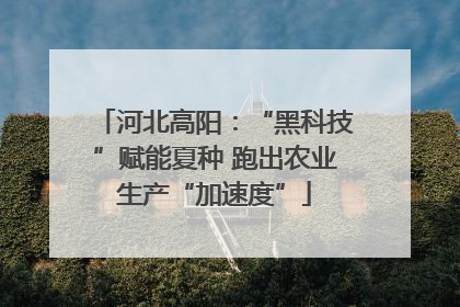 河北高阳：“黑科技”赋能夏种 跑出农业生产“加速度”