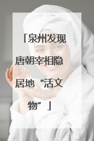 泉州发现唐朝宰相隐居地“活文物”