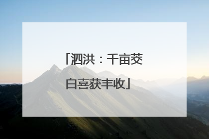 泗洪：千亩茭白喜获丰收
