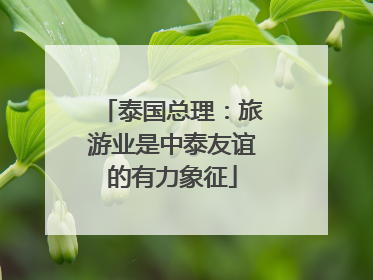 泰国总理：旅游业是中泰友谊的有力象征