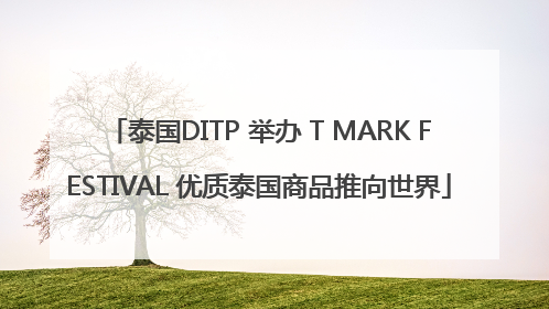 泰国DITP 举办 T MARK FESTIVAL 优质泰国商品推向世界