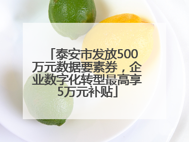 泰安市发放500万元数据要素券，企业数字化转型最高享5万元补贴