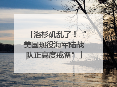 洛杉矶乱了！“美国现役海军陆战队正高度戒备”