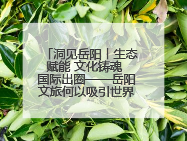 洞见岳阳丨生态赋能 文化铸魂 国际出圈——岳阳文旅何以吸引世界目光？