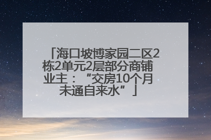 海口坡博家园二区2栋2单元2层部分商铺业主：“交房10个月未通自来水”