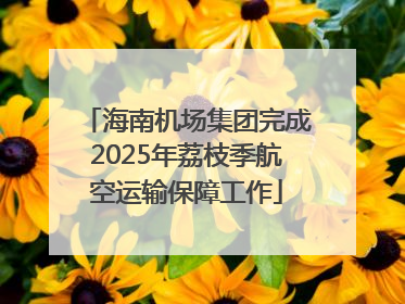 海南机场集团完成2025年荔枝季航空运输保障工作