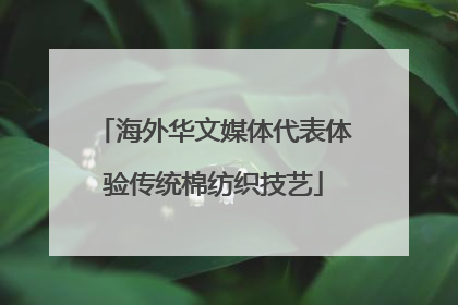 海外华文媒体代表体验传统棉纺织技艺
