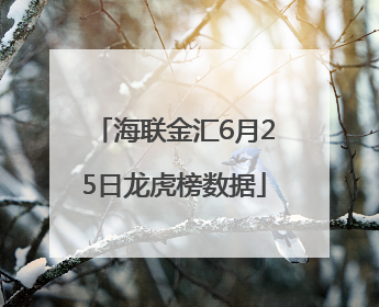 海联金汇6月25日龙虎榜数据
