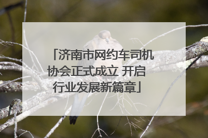 济南市网约车司机协会正式成立 开启行业发展新篇章