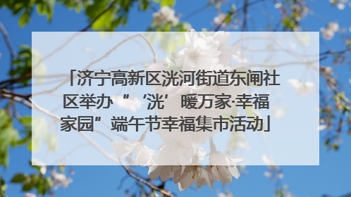 济宁高新区洸河街道东闸社区举办“‘洸’暖万家·幸福家园”端午节幸福集市活动