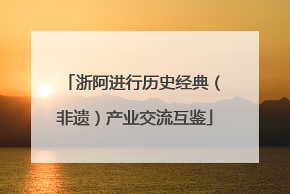 浙阿进行历史经典（非遗）产业交流互鉴