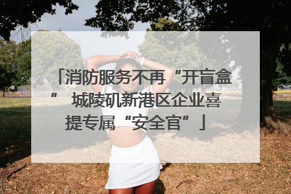 消防服务不再“开盲盒” 城陵矶新港区企业喜提专属“安全官”