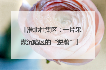 淮北杜集区：一片采煤沉陷区的“逆袭”