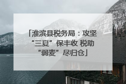 淮滨县税务局：攻坚“三夏”保丰收 税助“弱麦”尽归仓