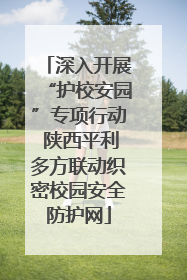 深入开展“护校安园”专项行动 陕西平利多方联动织密校园安全防护网