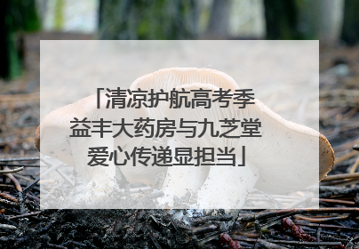 清凉护航高考季 益丰大药房与九芝堂爱心传递显担当