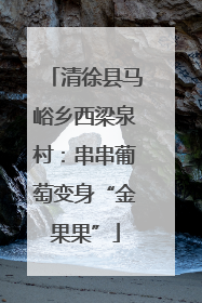 清徐县马峪乡西梁泉村：串串葡萄变身“金果果”