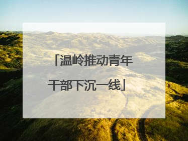 温岭推动青年干部下沉一线