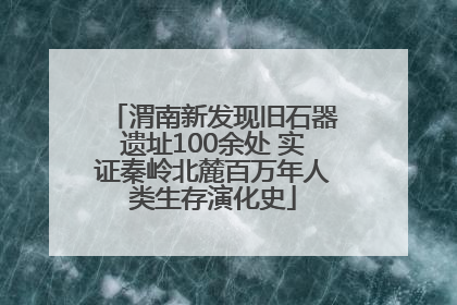 渭南新发现旧石器遗址100余处 实证秦岭北麓百万年人类生存演化史