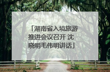 湖南省入境旅游推进会议召开 沈晓明毛伟明讲话