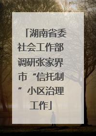 湖南省委社会工作部调研张家界市“信托制”小区治理工作
