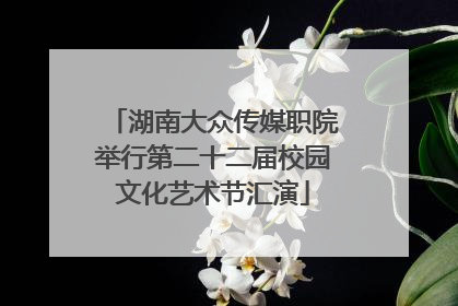 湖南大众传媒职院举行第二十二届校园文化艺术节汇演