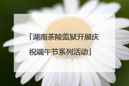 湖南茶陵监狱开展庆祝端午节系列活动