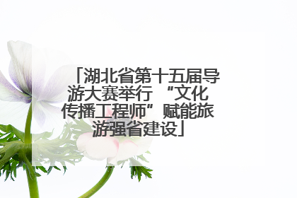湖北省第十五届导游大赛举行 “文化传播工程师”赋能旅游强省建设