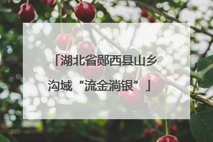 湖北省郧西县山乡沟域“流金淌银”