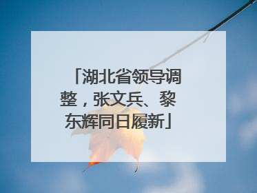 湖北省领导调整，张文兵、黎东辉同日履新