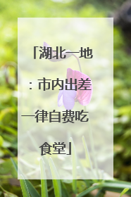 湖北一地：市内出差一律自费吃食堂