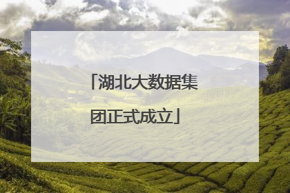 湖北大数据集团正式成立