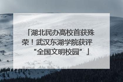 湖北民办高校首获殊荣！武汉东湖学院获评“全国文明校园”