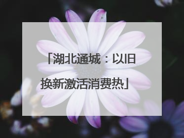 湖北通城：以旧换新激活消费热